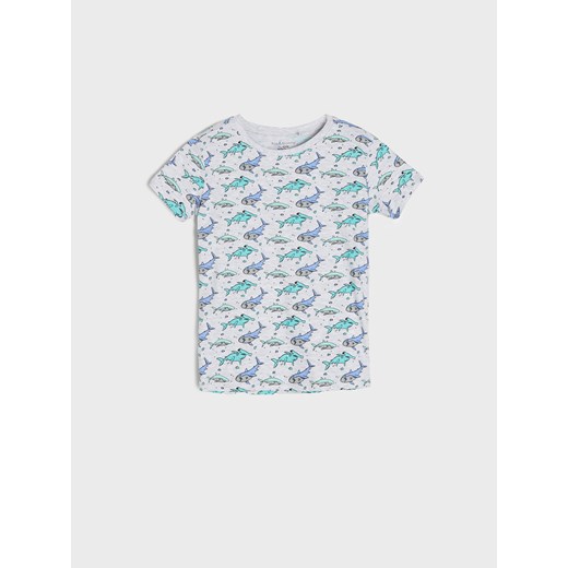 T-shirt chłopięce Sinsay w nadruki