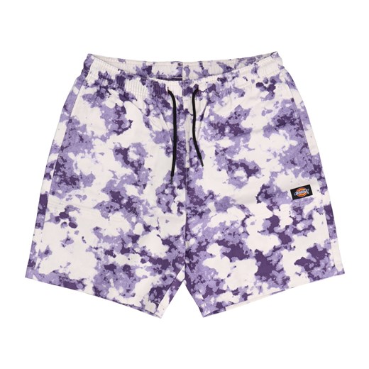 Kąpielówki Dickies