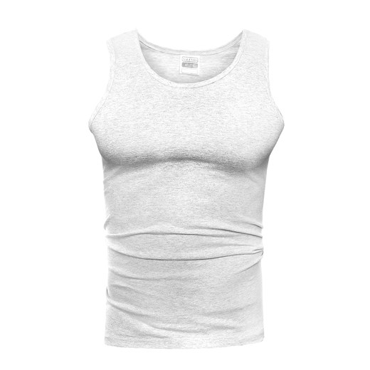 Koszulka bezrękawnik am10 - szara ze sklepu Risardi w kategorii T-shirty męskie - zdjęcie 118437006