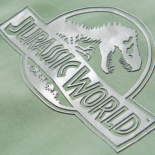 Cool Club, Bluza chłopięca, zielona, Jurassic World Cool Club 140 smyk