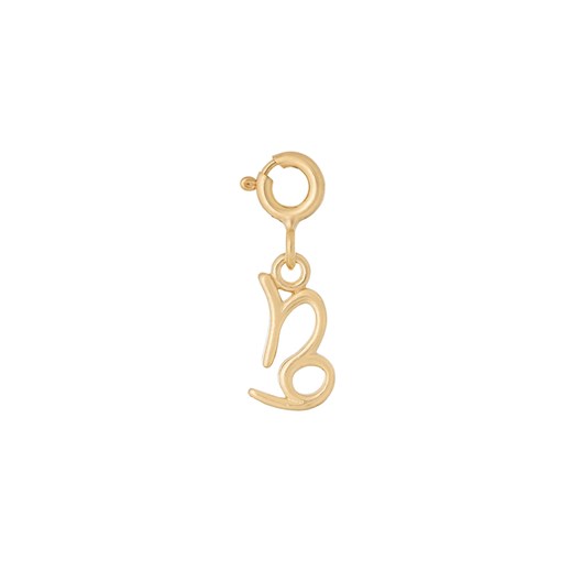 ANIA KRUK charms