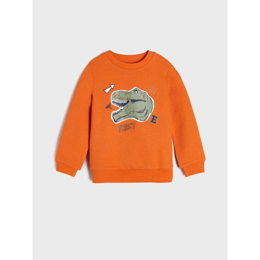Bluza chłopięca Sinsay