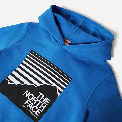 Bluza dziecięca The North Face YNEW BOX Hoodie NF0A4MA5T4S M sneakerstudio.pl