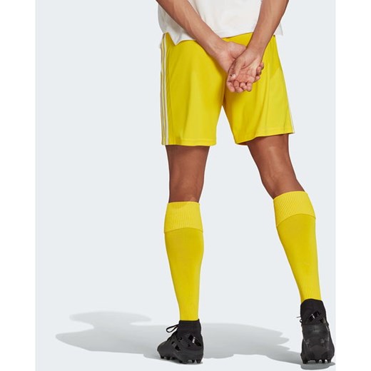 Spodenki piłkarskie męskie Squadra 21 Adidas M okazyjna cena SPORT-SHOP.pl