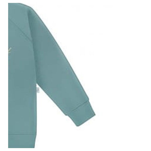 Bluza dziecięca LIMITED szałwia NewYorkStyle Ewa Collection 92 okazyjna cena NYS