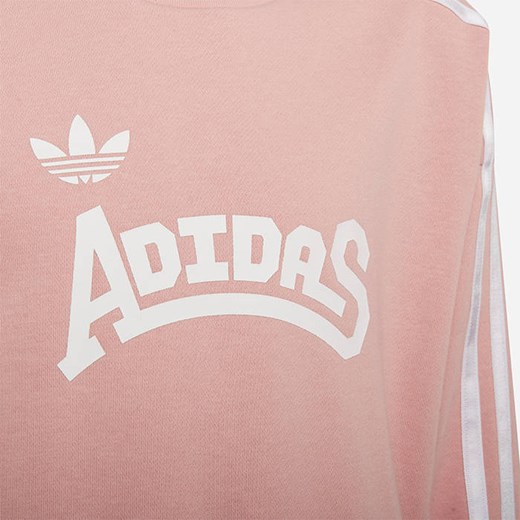 Bluza dziecięca adidas Originals Graphic Crew Sweatshirt HC4559 152 sneakerstudio.pl