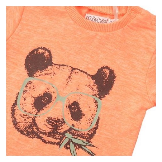 Dirkje koszulka chłopięca Neon panda VD0222 62 pomarańczowa Dirkje 86 wyprzedaż Mall