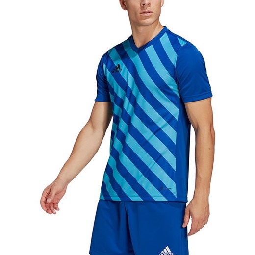 T-shirt męski niebieski Adidas w paski z krótkim rękawem 