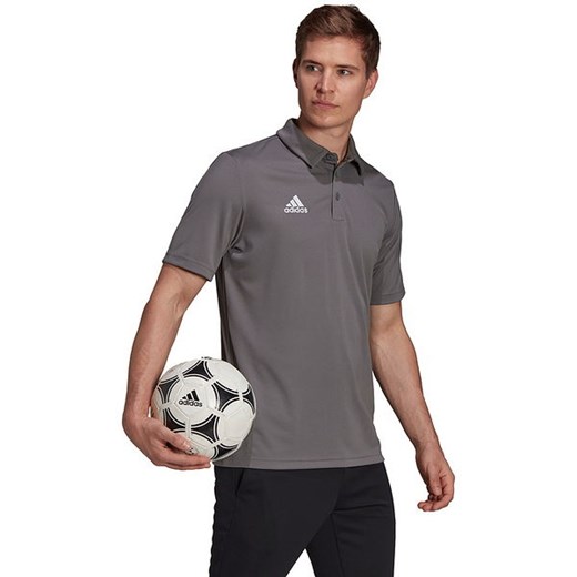 Szary t-shirt męski Adidas z krótkim rękawem 