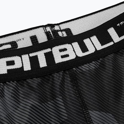 Spodenki Pitbull Compr Shorts Dillard | WYSYŁKA W 24H | 30 DNI NA ZWROT XL sportano.pl