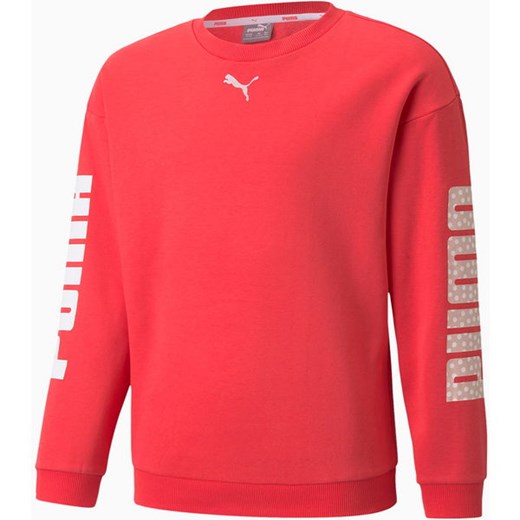 Bluza młodzieżowa Alpha Crew Neck Puma Puma 128cm okazja SPORT-SHOP.pl