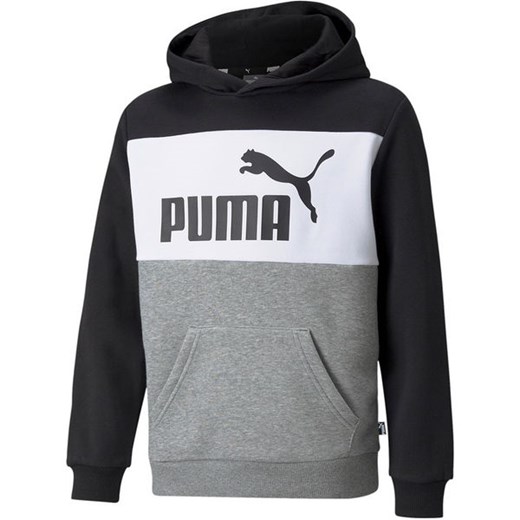 Bluza młodzieżowa Essentials+ Colorblock Hoodie Puma Puma 128cm SPORT-SHOP.pl okazja