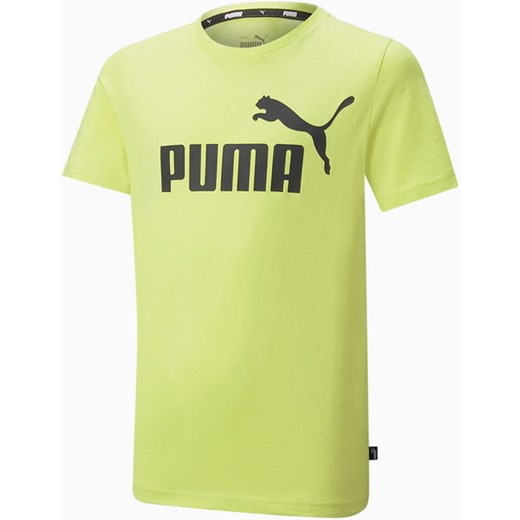 Koszulka młodzieżowa Essentials Logo Tee Puma Puma 152cm promocja SPORT-SHOP.pl