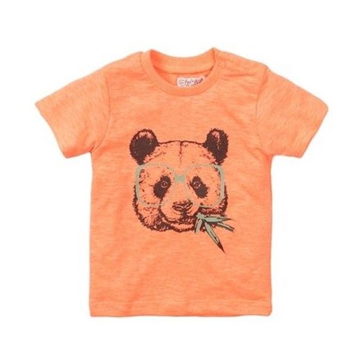 Dirkje koszulka chłopięca Neon panda VD0222 62 pomarańczowa Dirkje 80 Mall
