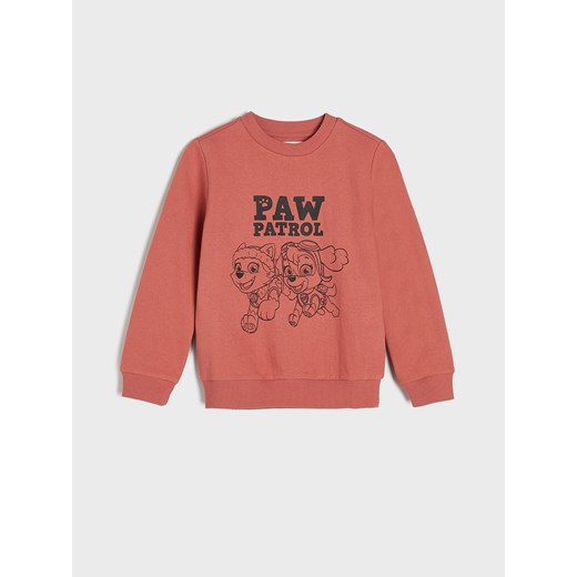 Sinsay - Bluza Psi Patrol - Brązowy Sinsay 104 Sinsay