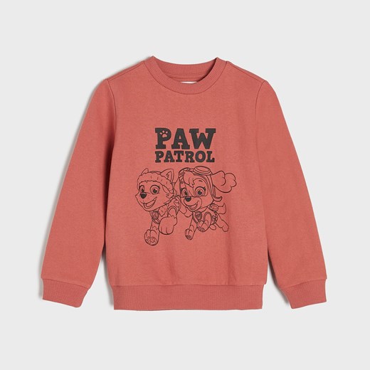 Sinsay - Bluza Psi Patrol - Brązowy Sinsay 116 Sinsay