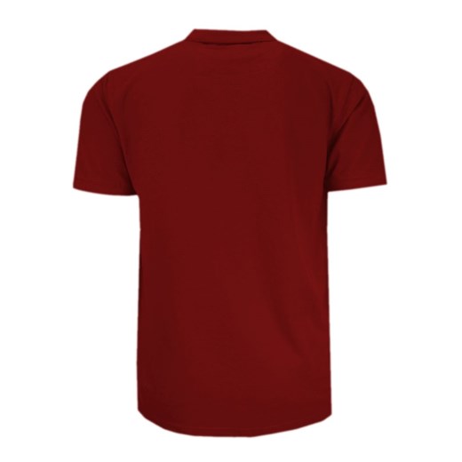 T-shirt męski Expoman casual 