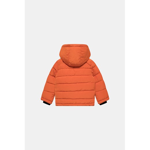 DKNY Kurtka - Pomarańczowy - Chłopiec - 7 LAT(A)(128CM) 4 LAT(A)(104CM) wyprzedaż Halfprice