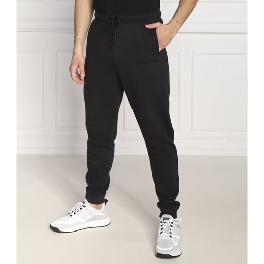 Calvin Klein Performance Spodnie dresowe | Regular Fit L Gomez Fashion Store