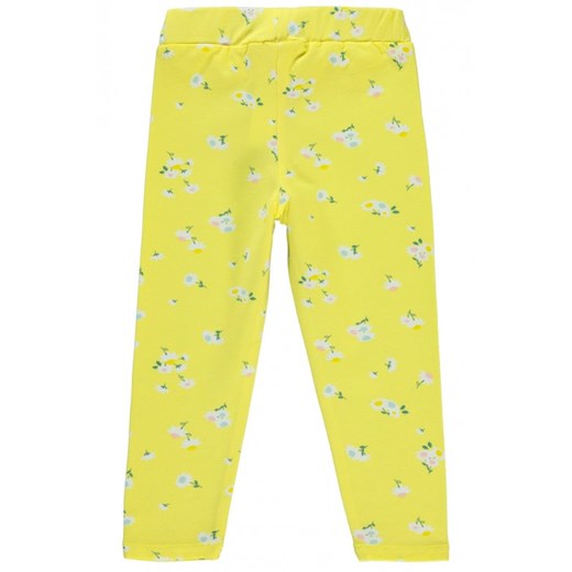 Legginsy BLOOMY 3-4 wyprzedaż Ivet Shop