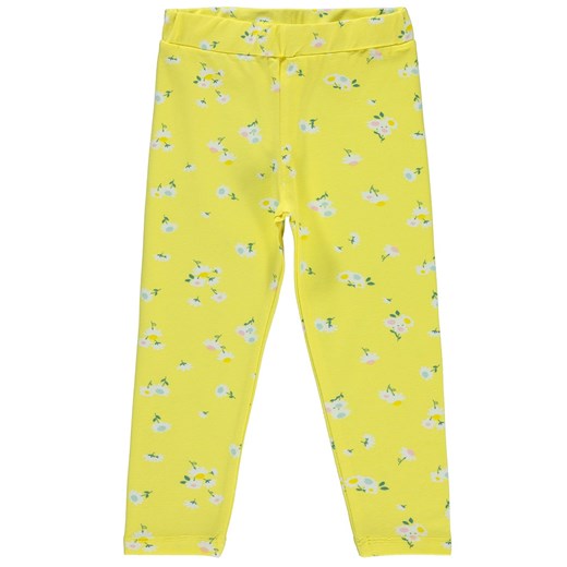 Legginsy BLOOMY 5-6 okazja Ivet Shop