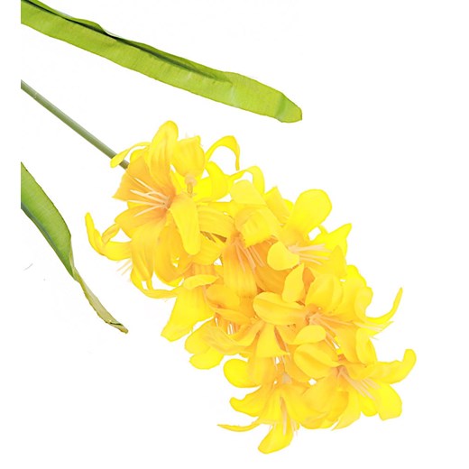 Dekoracja Pantofelek24 