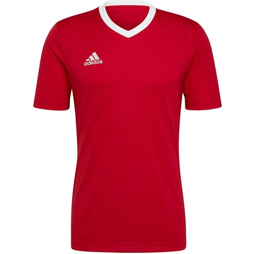 Koszulka męska Entrada 22 Jersey Adidas ze sklepu SPORT-SHOP.pl w kategorii T-shirty męskie - zdjęcie 154202405