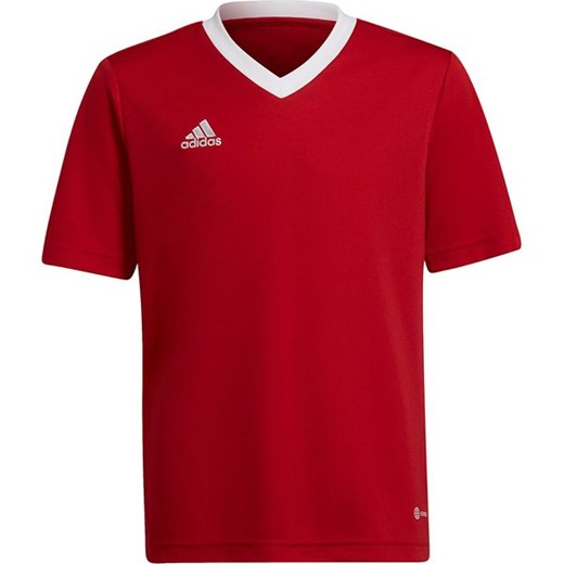 Koszulka juniorska Entrada 22 Jersey Adidas ze sklepu SPORT-SHOP.pl w kategorii Bluzki dziewczęce - zdjęcie 154202929