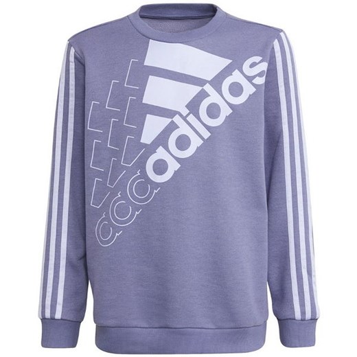 Bluza młodzieżowa Essentials Logo Sweatshirt Adidas ze sklepu SPORT-SHOP.pl w kategorii Bluzy dziewczęce - zdjęcie 154218707