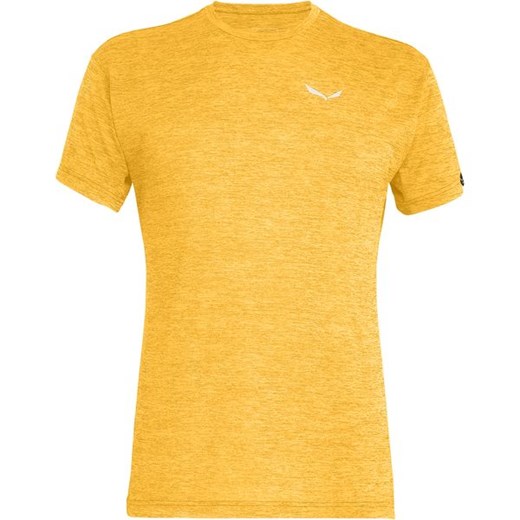 Koszulka męska Puez Melange Dry S/S Tee Salewa ze sklepu SPORT-SHOP.pl w kategorii T-shirty męskie - zdjęcie 154240505