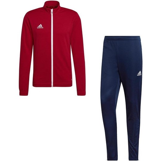 Dres męski Entrada 22 Adidas ze sklepu SPORT-SHOP.pl w kategorii Dresy męskie - zdjęcie 154249457