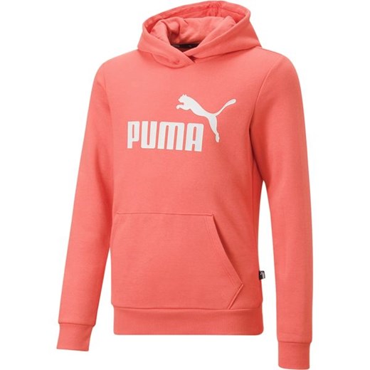 Bluza juniorska Essentials Logo Hoodie Puma ze sklepu SPORT-SHOP.pl w kategorii Bluzy dziewczęce - zdjęcie 154270546