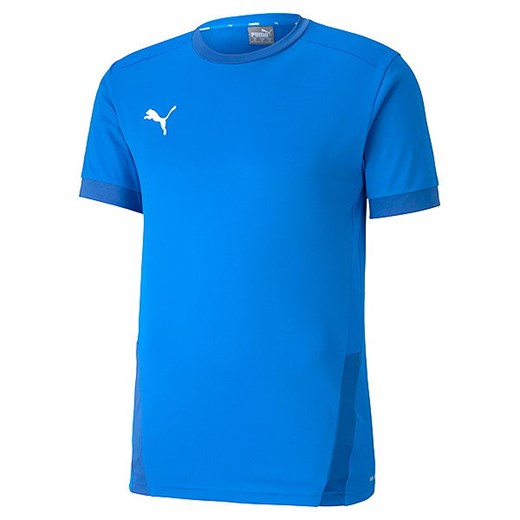 Koszulka męska Goal Jersey Puma ze sklepu SPORT-SHOP.pl w kategorii T-shirty męskie - zdjęcie 154273646