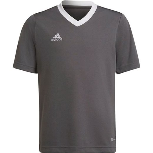 Koszulka juniorska Entrada 22 Jersey Adidas ze sklepu SPORT-SHOP.pl w kategorii T-shirty chłopięce - zdjęcie 154276365