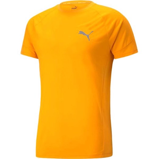 Koszulka męska Evostripe dryCELL Puma ze sklepu SPORT-SHOP.pl w kategorii T-shirty męskie - zdjęcie 154280515