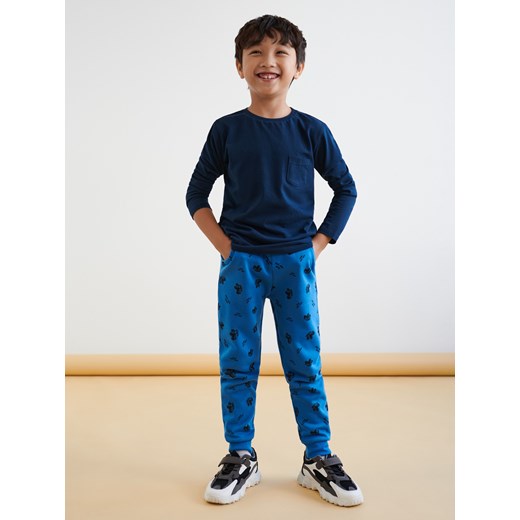 Spodnie chłopięce Sinsay 