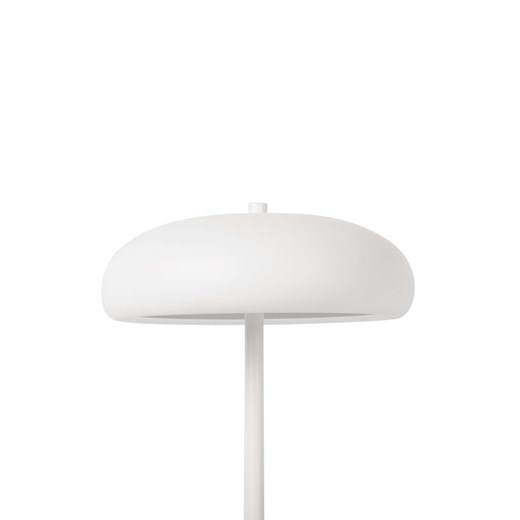Lampion/lampka Leitmotiv