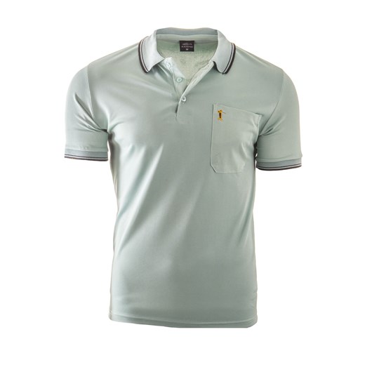 koszulka polo YP202 - zielona ze sklepu Risardi w kategorii T-shirty męskie - zdjęcie 156175275