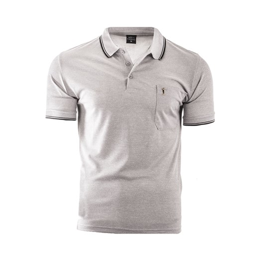 koszulka polo YP202 - szara ze sklepu Risardi w kategorii T-shirty męskie - zdjęcie 156175277