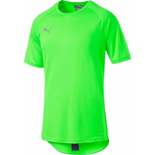 Koszulka męska ftblNXT Football Tee Puma Puma XL wyprzedaż SPORT-SHOP.pl