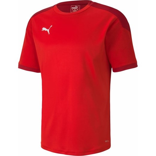 Koszulka męska Teamfinal21 Puma ze sklepu SPORT-SHOP.pl w kategorii T-shirty męskie - zdjęcie 157047789