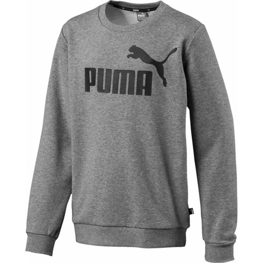 Bluza młodzieżowa Sweat Trainer ESS Puma Puma 120cm SPORT-SHOP.pl wyprzedaż