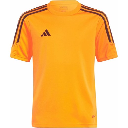 Koszulka juniorska Tiro 23 Club Training Jersey Adidas ze sklepu SPORT-SHOP.pl w kategorii T-shirty chłopięce - zdjęcie 157049749