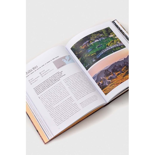 Książka The Ivy Press 