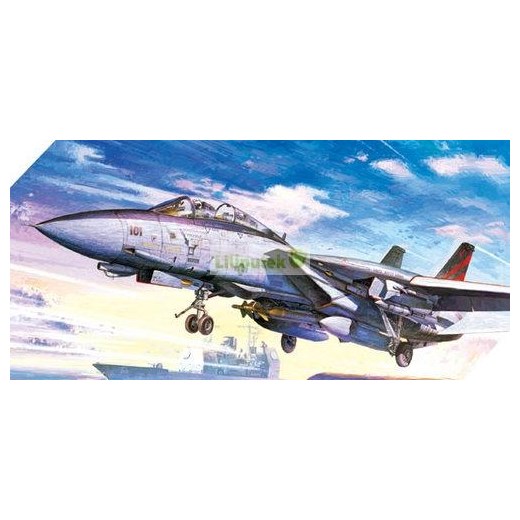 ACADEMY F14A Bombcat 