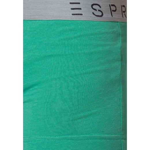 Esprit AIKO 3 PACK Panty clover green zalando  dżersej