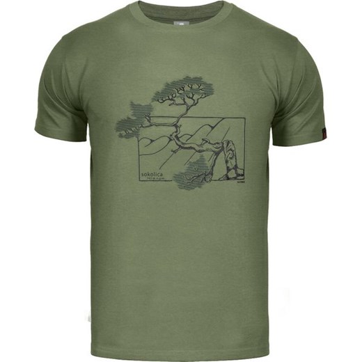 Koszulka męska Pieniny Alpinus ze sklepu SPORT-SHOP.pl w kategorii T-shirty męskie - zdjęcie 159069058
