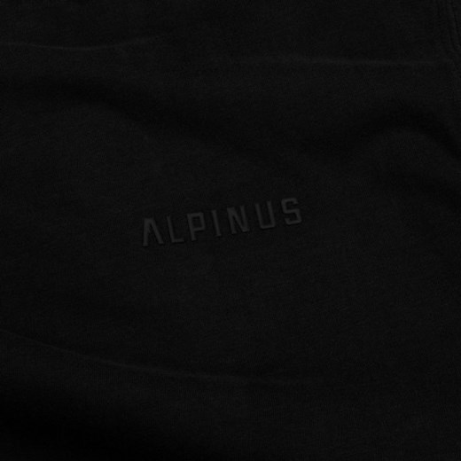 Alpinus t-shirt męski bawełniany z krótkim rękawem 