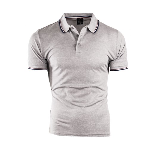 koszulka polo YP206 - szara ze sklepu Risardi w kategorii T-shirty męskie - zdjęcie 160910768