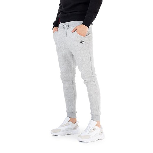 Spodnie Alpha Industries Basic Jogger SL 11637017 - szare ze sklepu streetstyle24.pl w kategorii Spodnie męskie - zdjęcie 161317515